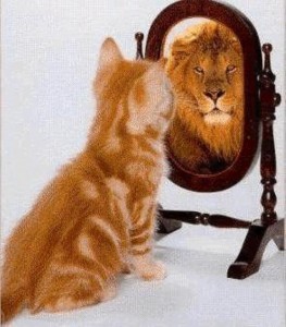 selfconfidence